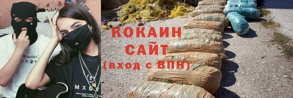 ПСИЛОЦИБИНОВЫЕ ГРИБЫ Алзамай